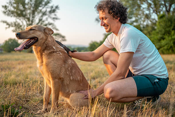 istock Man Smiling While Playing Outdoors With His Dog on a Sunny Day 2221288704