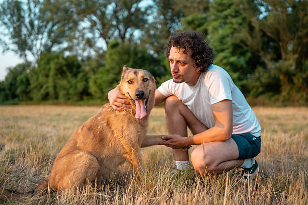 istock Man Sitting Outdoors With Dog in Nature During Sunset 2221288725