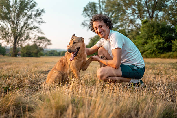 istock Man Bonding with His Dog in Open Nature During Sunset 2221288729