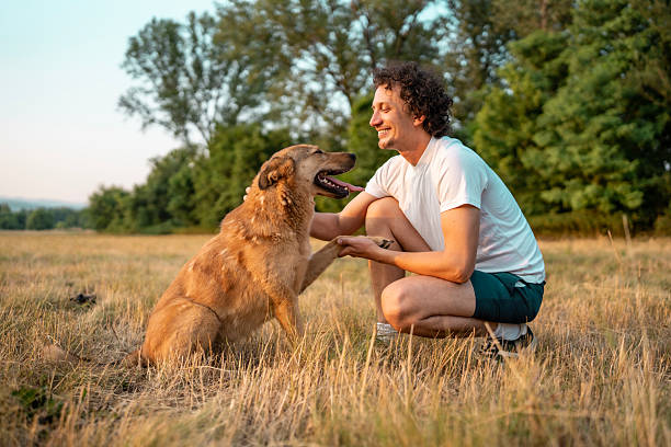 istock Man Interacting With Dog in an Open Field During a Bright Day 2221288732