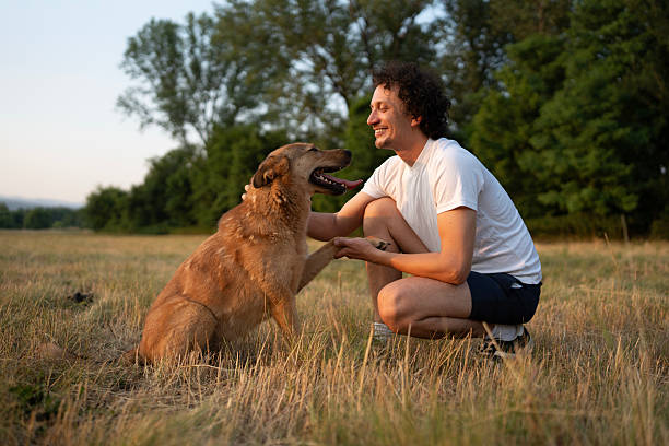 istock Man Interacting Playfully with Dog Outdoors on a Sunny Day 2221288735