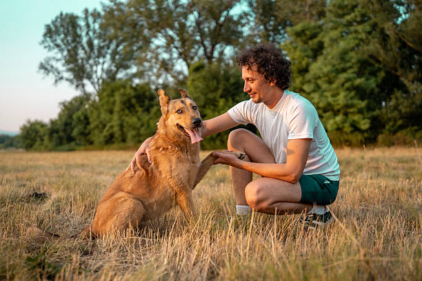 istock Man Bonding With His Dog Outdoors in a Summer Field 2221288751