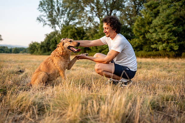 istock Man Bonding With Dog in a Sunny Outdoor Field Setting 2221288757