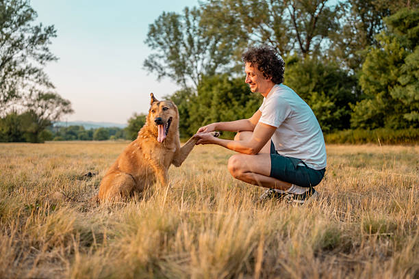 A man in casual attire kneels on a meadow, holding a dog's paw while sharing a joyful moment. Bright and serene countryside surroundings evoke feelings of friendship, happiness, and companionship.