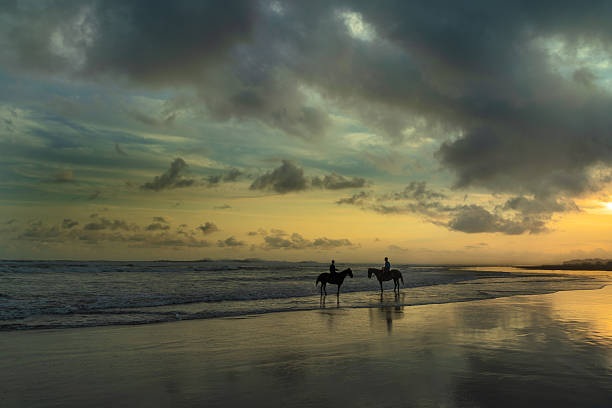 istock Horses of Parangtritis Beach 2221289189
