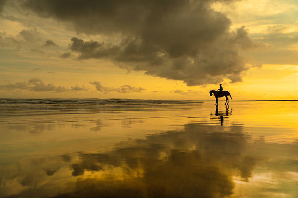 istock Horses of Parangtritis Beach 2221289442