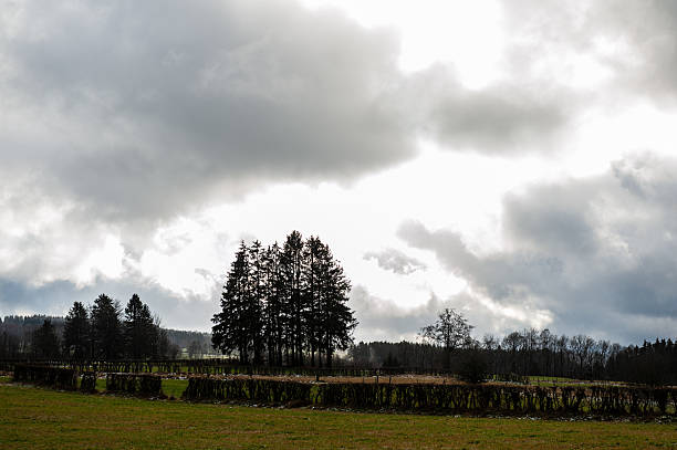 Exterior scene from the forest near the belgian town of Mont, close to Malmedy, in the Ardennes