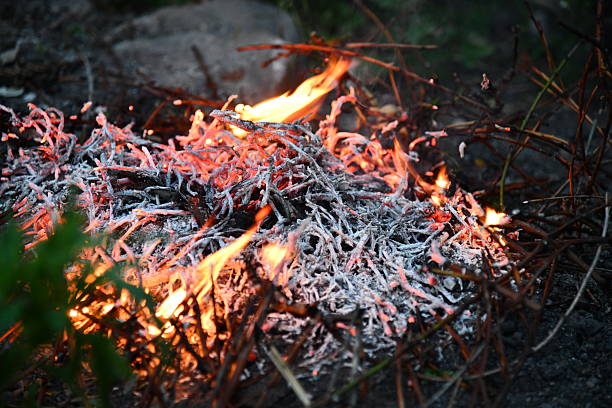 Ring of fire Bailey Colorado Rocky Mountain forest