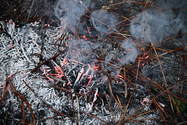 istock Ring of fire Bailey Colorado Rocky Mountain forest 2221294257