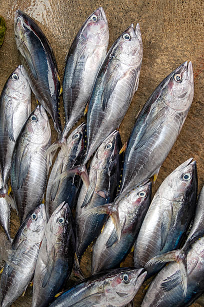 istock Fish at traditional market 2221306692