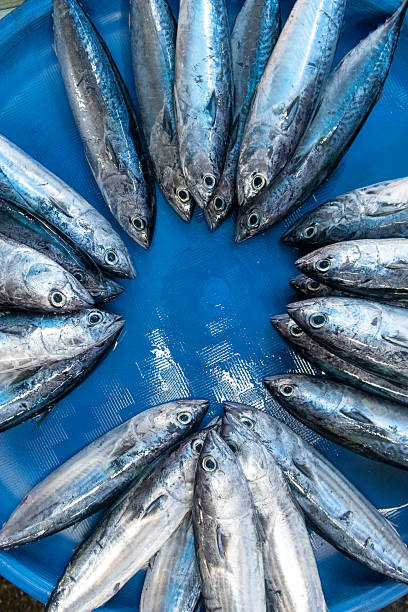 istock Fish at traditional market 2221306772