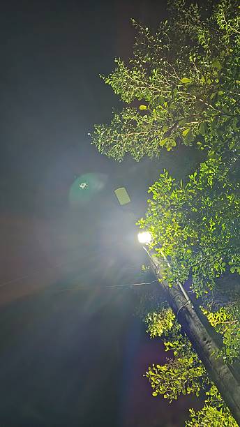 istock Street lights at night 2221307402