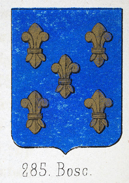 istock Medieval heraldry, Coat of arms, Shield with, Five, Gold, fleur de lis, Spanish, Vintage illustration 2221324394