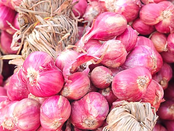 Thai red onion, red shallot.