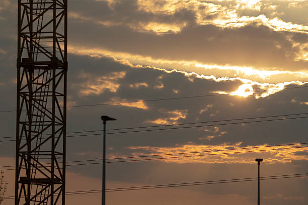 A beautiful sunset featuring a majestic crane gracefully positioned in the foreground, enhancing the picturesque evening scene