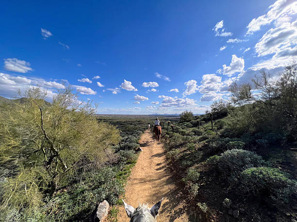 A first-person perspective from atop a horse, looking down a dirt trail at another rider in front, surrounded by lush desert vegetation under a wide blue sky with clouds.