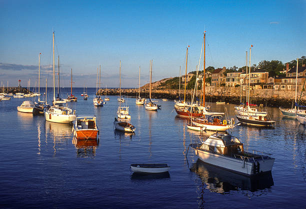 A group of sail boats anchored in a bay off the coast of Honolulu, Hawaii on an early winter morning.
