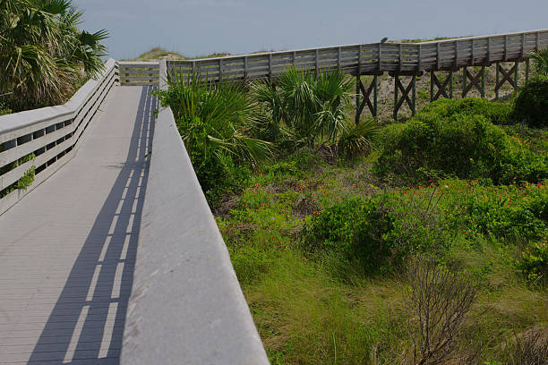 istock Florida Wooden Boardwalk Path Through a Scenic Nature Landscape Under a Blue Sky 2221340465