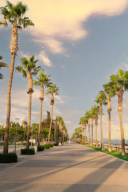 istock Seaside promenade with palms in Limassol 2221342441