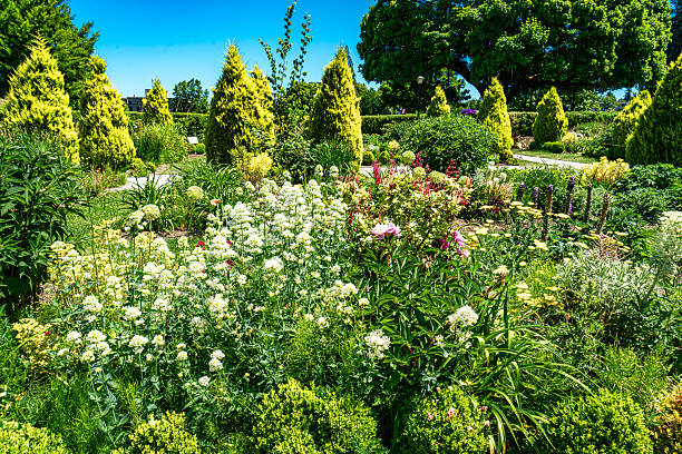 A variety of plants and flowers in the Sunken Garden at the Washington State  Capitol.