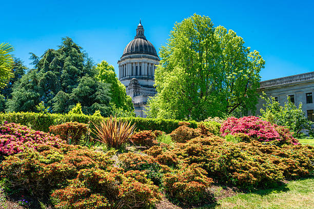 Pink flowers at the Capitol in Olympia, Washington.