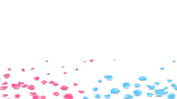 istock Blue and pink rose petals decor Valentine romantic card, banner and background vector illustration 2221349729