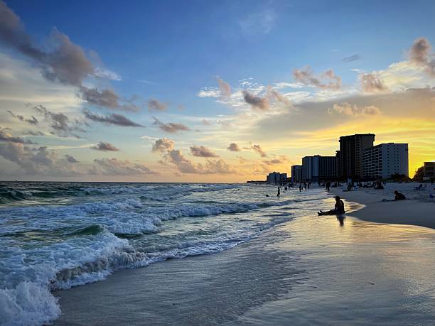 istock Gulf coast silhouette at sunset 2221352447