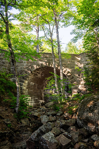 istock Waterfall Bridge And Surrounding Trees In Acadia 2221352456