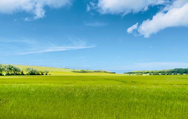 Lovely Normandy fields on a sunny day in may 2025