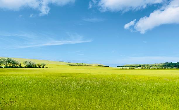 istock Lovely Normandy fields on a sunny day in may 2025 2221353171