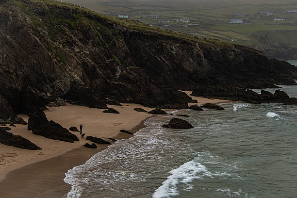 Man walking with dog on the beach in misty weather