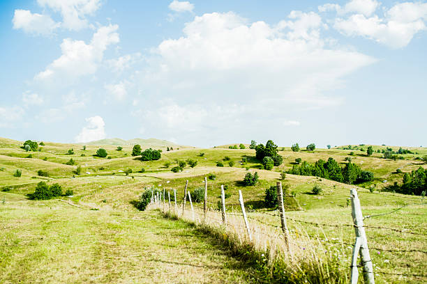 istock Barbed wire fence in bright green pasture under blue sky 2221357865