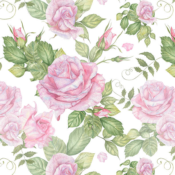 istock A pattern of watercolor pink roses on a white isolated background. 2221361401