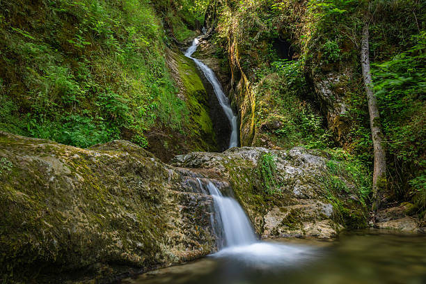 istock Tranquil Waterfall in a Lush Forest Setting on a Sunny Day 2221368102