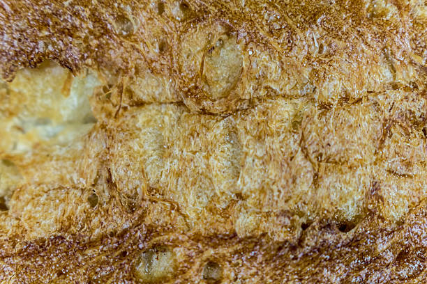 Ciabatta Bread. In the approach. Close-up
