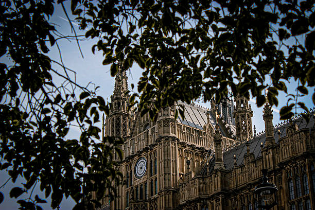 Historic architecture glimpsed through trees.