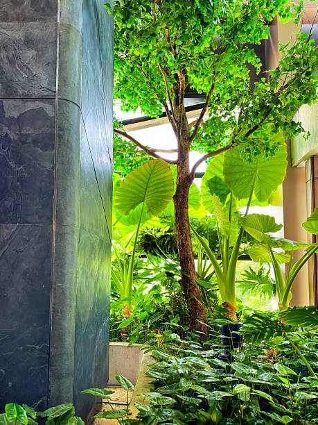 istock Close up modern building interior with green tropical plants 2221403214