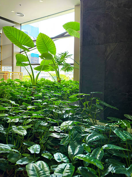 istock Close up modern building interior with green tropical plants 2221403403