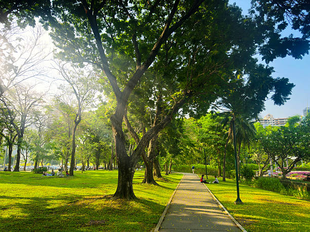 Benchakitti Park in Bangkok, Thailand
