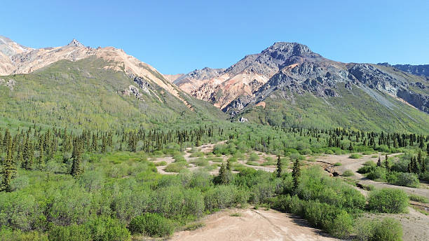 Drone picture of Sheep Mountain in Alaska. During late spring and early summer the beauty of this mountain creates stunning photo opportunities. Many tourists take a moment to capture the beauty of this area while traveling through along the Glenn Highway.