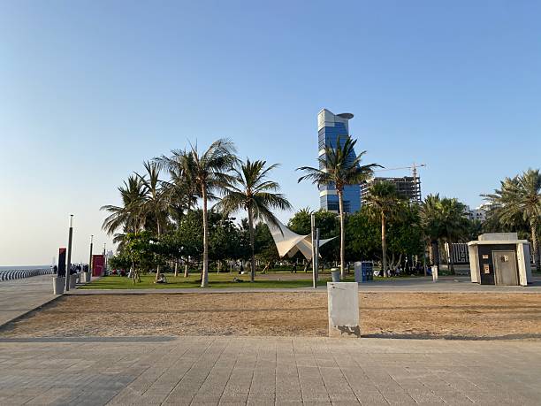 istock The park view full of palm trees 2221412166