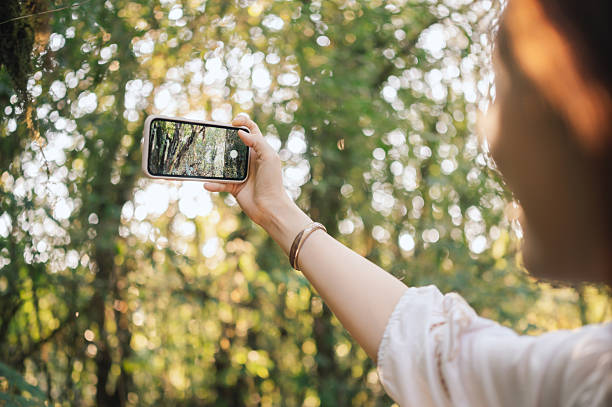 istock Active asian woman using phone capturing natural scenery in tropical forest, reflecting sustainable outdoor exploration and slow travel in tropical forest, reflecting sustainable outdoor exploration and slow travel 2221412238