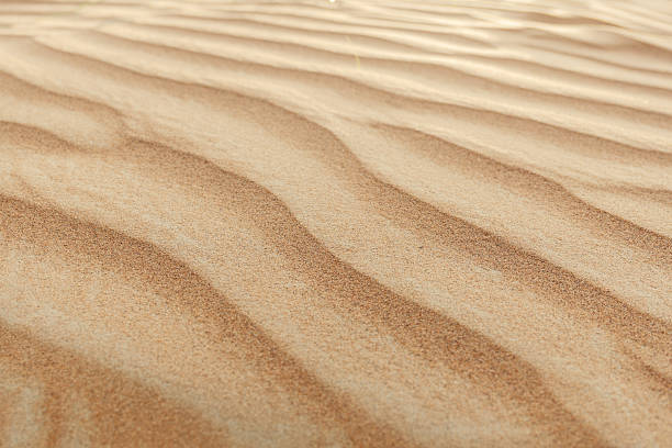 istock sunset light on golden desert dunes. desert pattern 2221418367