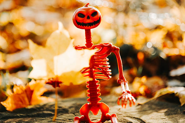 Skeleton with maple yellow leaf in hand on autumn sunny forest background. Halloween background