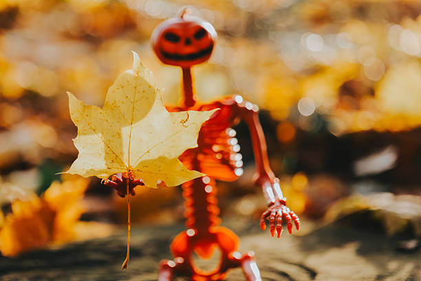 Halloween background.Pumpkin Head Skeleton on Tree Stump in Autumn.