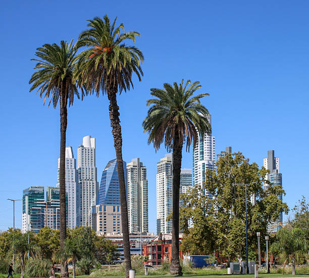 istock skyline of Buenos Aires with palm trees in front 2221430990