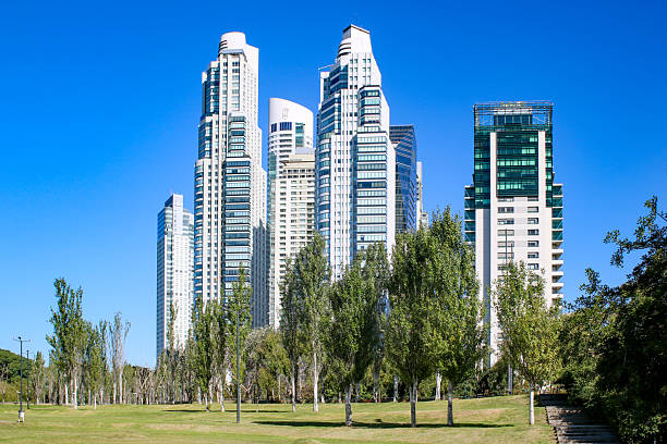 istock skyline of Buenos Aires with palm trees in front 2221431008