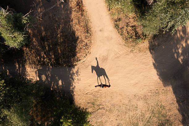 Horse riding galloping into sunset. Orange yellow black, Landscape desert, sky wild land.