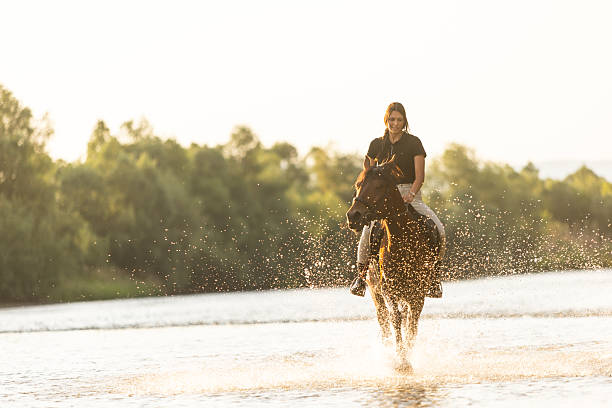 istock Young woman gallops horse through the river at sunset 2221434310