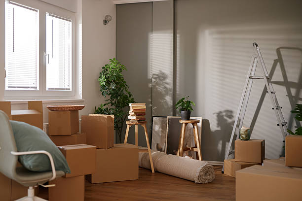 istock Cardboard boxes and plants filling new apartment during move 2221435200